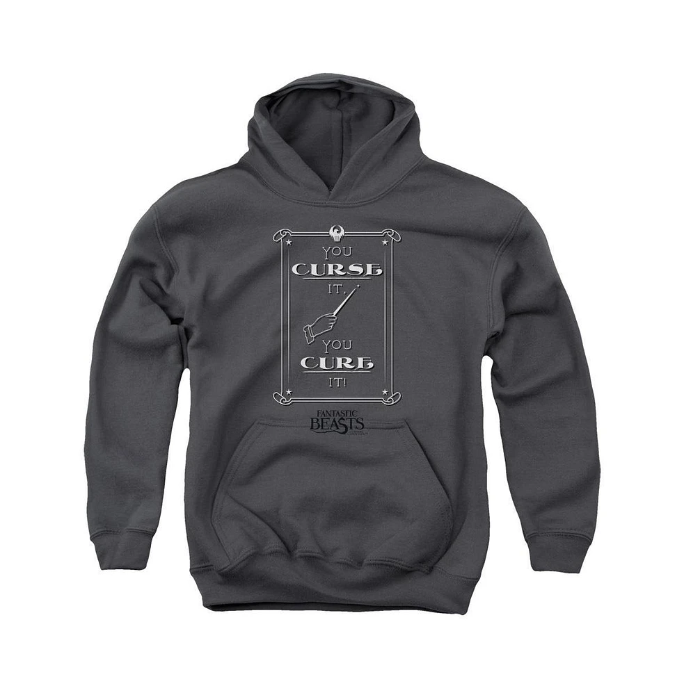 Fantastic Beasts Youth Curse It Pull Over Hoodie / Hooded Sweatshirt
