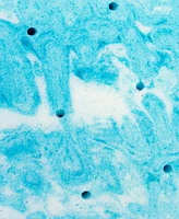 Therapedic Premier 2" Restorative Gel Memory Foam Mattress Topper, King, Exclusively at Macy's