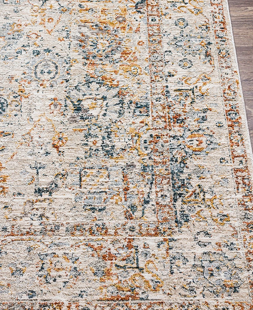 Livabliss Laila Laa-2317 7'10x10'3 Area Rug