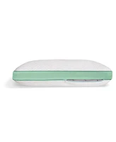 Bedgear Level Cuddle Curve Performance Pillow 2.0, Standard/Queen