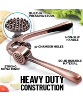 Premium Garlic Press Set - Rust Proof & Dishwasher Safe Professional Mincer Tool