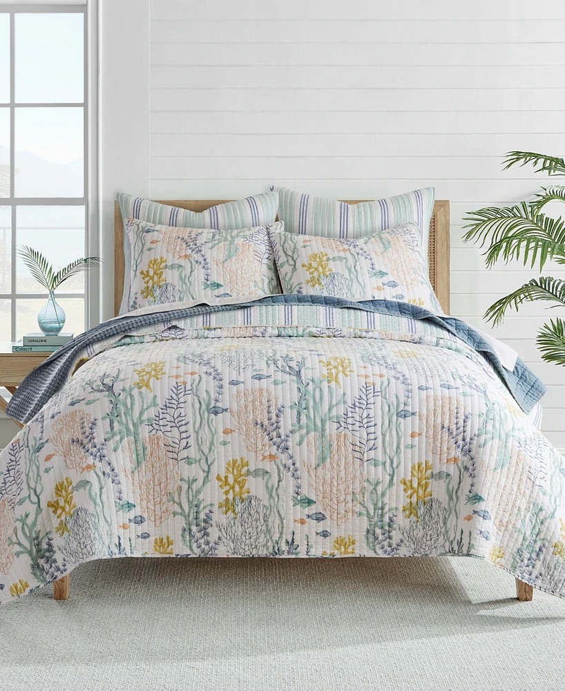 Levtex Ocean Meadow Reversible 3-Pc. Quilt Set, Full/Queen