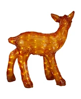 Northlight Acrylic Reindeer Christmas Display Decoration - 23-Inch