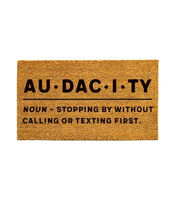 Evergreen 16 x 28 Inches Audacity Door Mat | Non-Slip Rubber Backing | Dirt catching Natural Coir | Indoor and Outdoor Home Decor