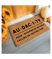 Evergreen 16 x 28 Inches Audacity Door Mat | Non-Slip Rubber Backing | Dirt catching Natural Coir | Indoor and Outdoor Home Decor