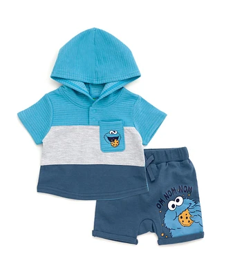 Sesame Street Toddler Boys Cookie Monster Pullover Hoodie and French Terry Shorts
