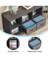 Tribesigns 2 Drawers Lateral File Cabinets, Home Office 43-inch Mobile Wood Filing Cabinet Printer Stand with Wheels and Open Storage Shelves,Drawers