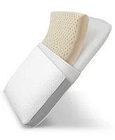 Cheer Collection Dual-Sided Memory Foam Pillow, Standard
