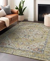 Addison Chantille Machine Washable ACN1103 3'x5' Area Rug