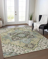 Addison Chantille Machine Washable ACN1036 2'6"x3'10" Area Rug