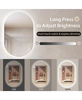 32'' x 20'' Oval Bathroom Wall Mirror Mounted Makeup Mirror with Lights & Anti-Fog