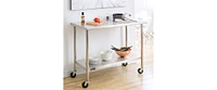 Stainless Steel Kitchen Island Cart – 2-Foot Mobile Prep Table with Locking Casters for Food Prep & Storage