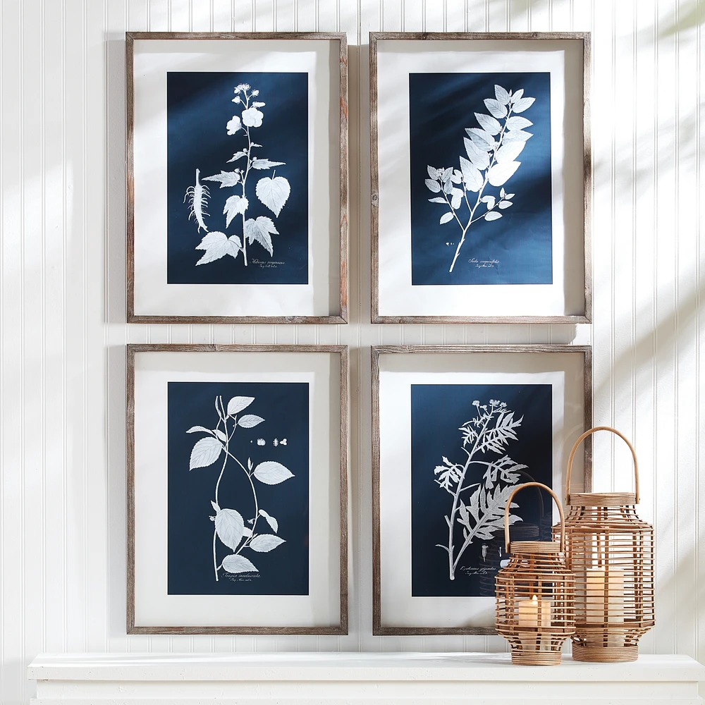 Cyano Botanical Leaf Study Set of 4