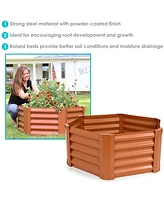 Raised Powder-Coated Steel Hexagon Planter Garden Bed Kit for Plants, Flowers, Vegetables and Herbs - 41" W x 16" Deep