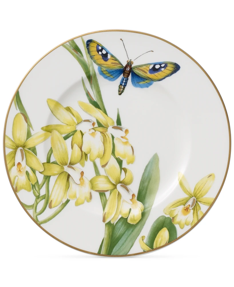 Villeroy & Boch Amazonia Bread & Butter Plate