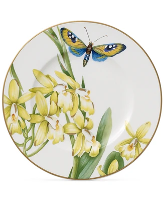 Villeroy & Boch Amazonia Bread & Butter Plate