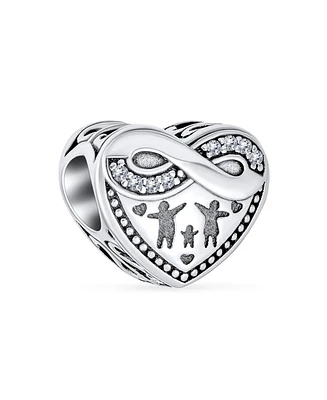 Bling Jewelry Cz Accent Loving Family Heart Charm Bead Wife Sterling Silver European Bracelet