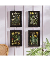 Golden Botanical Study Set of 4