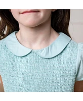 Hope & Henry Little Girls Puff Sleeve Smocked Party Dress with Peter Pan Collar
