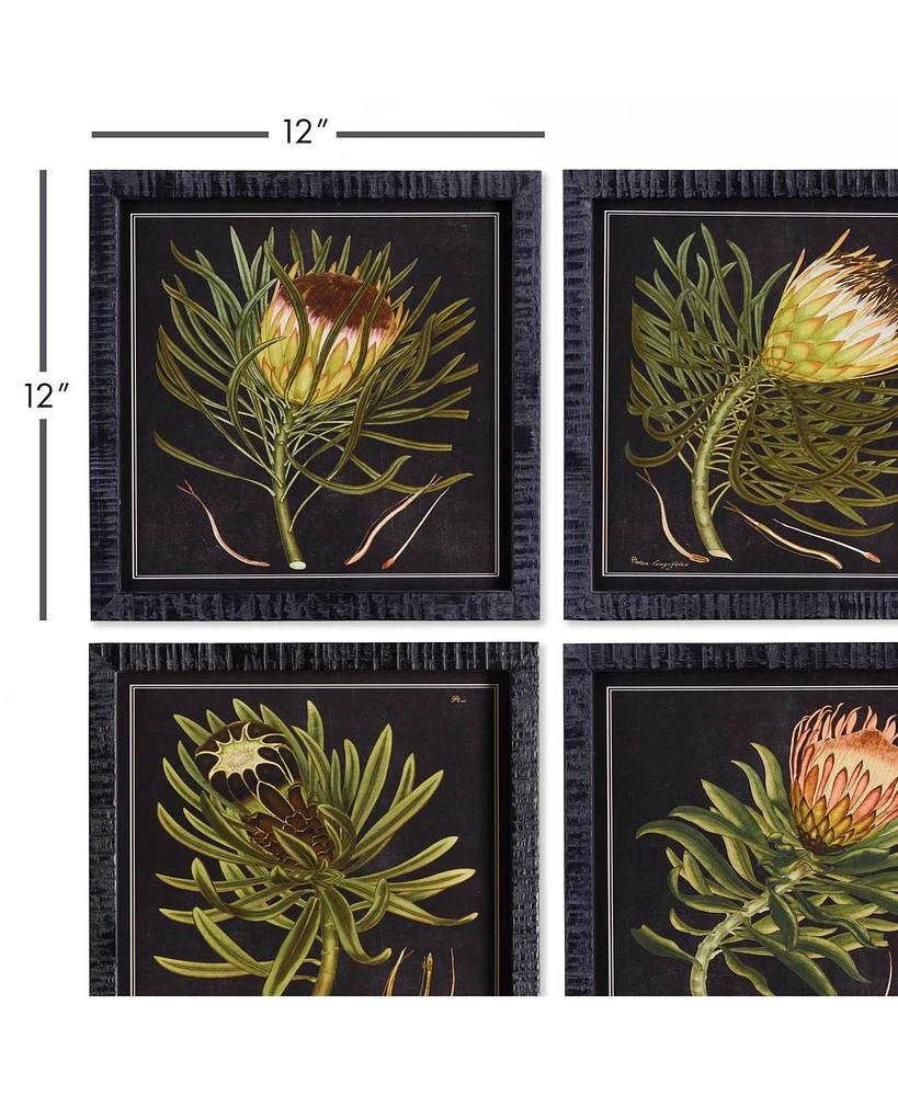 Protea Petite Prints Set of 4