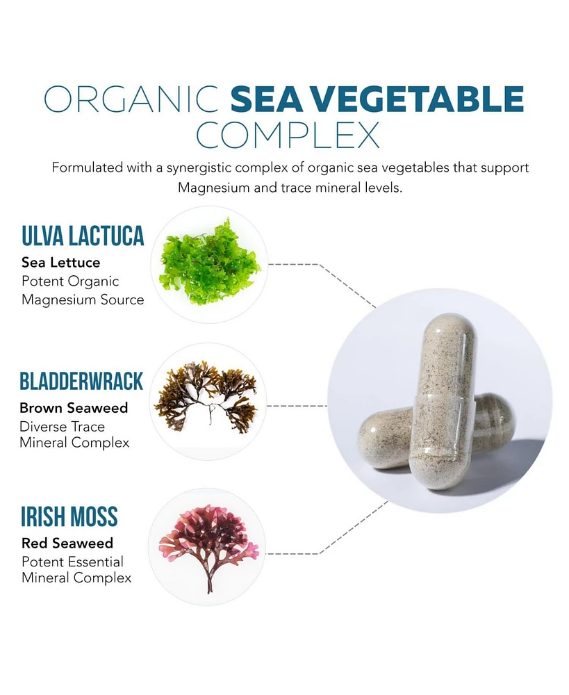Plant Magnesium: Organic, Whole Food Magnesium Supplement