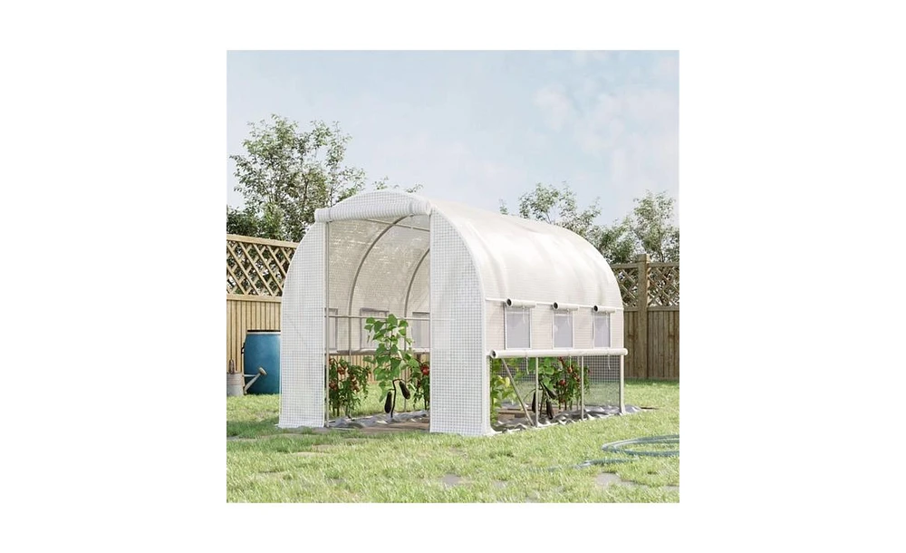 Walk-In Greenhouse for Gardening – Large Outdoor Plant Growing Space