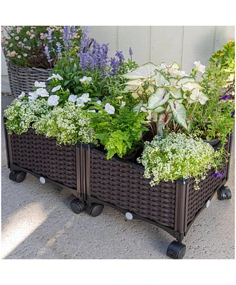 Modern 2-Piece Raised Garden Planter Box on Wheels for Indoor and Outdoor Use
