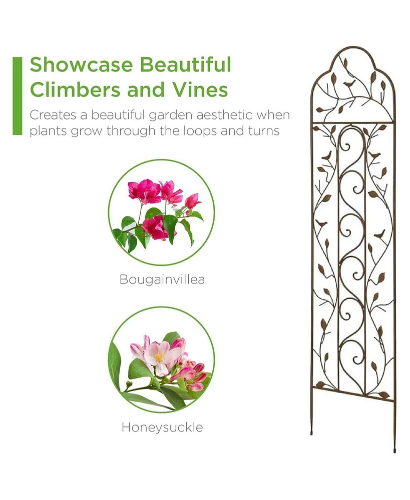 Outdoor Iron Garden Trellis for Climbing Plants and Garden Support