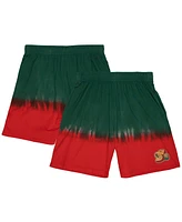 Mitchell & Ness Men's Green Seattle Supersonics Tie-Dye Shorts