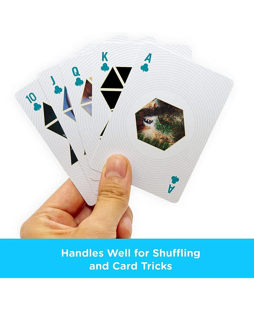 Pink Floyd Playing Cards