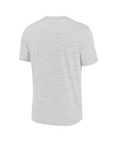 Nike Men's Ash Penn State Nittany Lions 2025 Sideline Velocity Performance T-Shirt