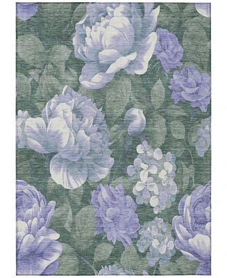 Addison Chantille Machine Washable ACN1563 3'x5' Area Rug