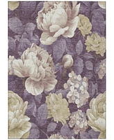 Addison Chantille Machine Washable ACN1561 8'x10' Area Rug