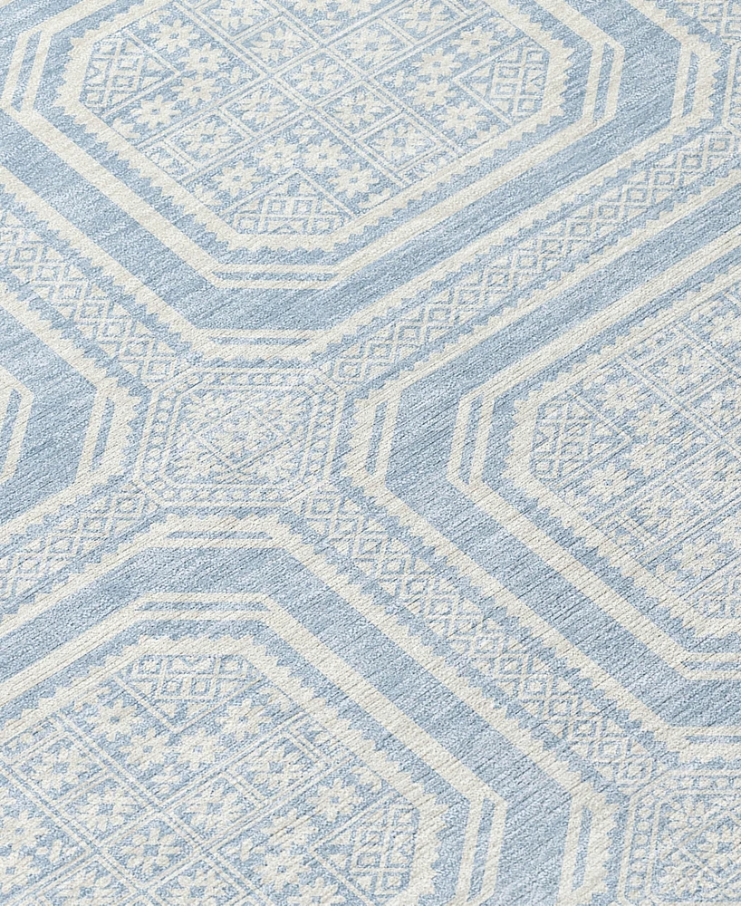 Addison Chantille ACN1462 1'8"x2'6" Area Rug