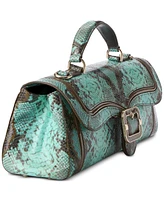 Brahmin Dayan Leather Satchel