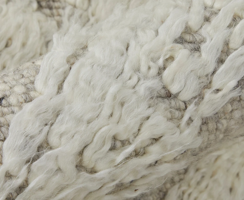 Feizy Ashby 8909F 2'x3' Area Rug