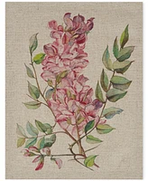 Madison Park Linen Botanicals 3-Pc. Canvas Print Set