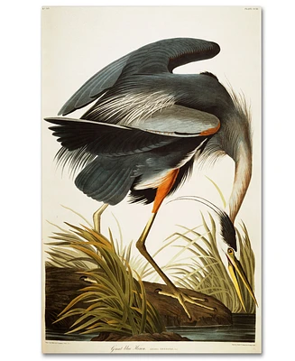John James Audubon 'Great Blue Heron' Canvas Art