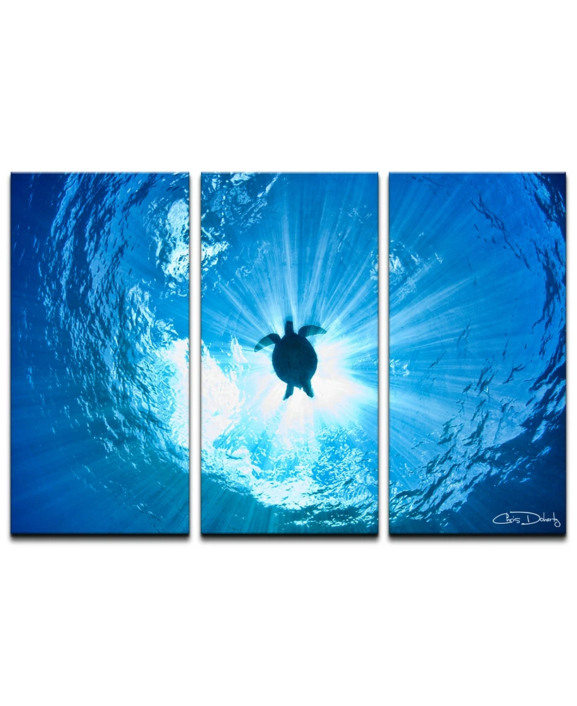 Ready2HangArt 'Sea Turtle' 3-Pc. Canvas Art Print Set