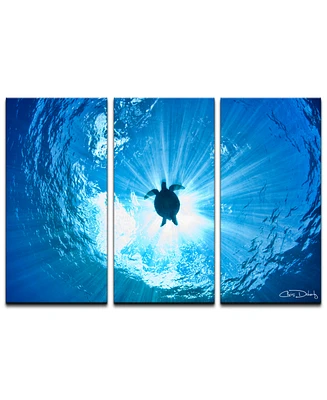 Ready2HangArt 'Sea Turtle' 3-Pc. Canvas Art Print Set