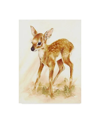 Peggy Harris 'Fawn' Canvas Art - 18" x 24"