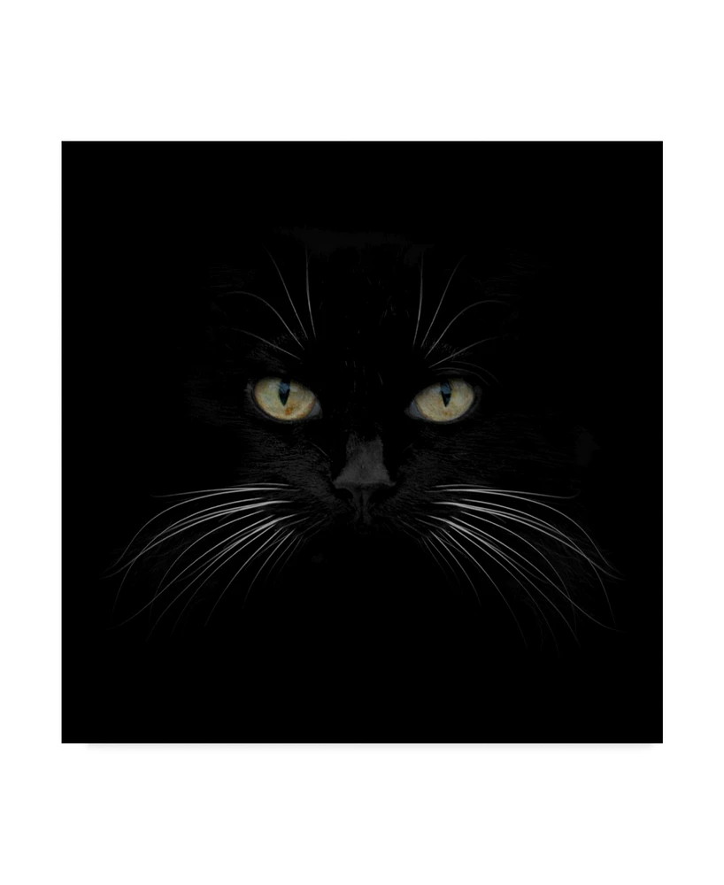 Lori Hutchison 'Black Cat Centered' Canvas Art - 18" x 18"