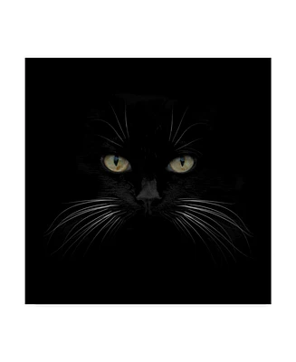 Lori Hutchison 'Black Cat Centered' Canvas Art - 18" x 18"