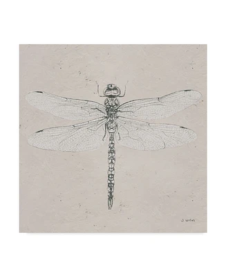 James Wiens Soft Summer Sketches Vi Canvas Art - 15" x 20"