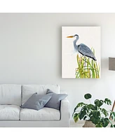 Naomi Mccavitt Water Birds and Cattails Ii Canvas Art - 15" x 20"