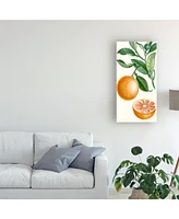 Turpin Turpin Fruit Ii Canvas Art - 15" x 20"