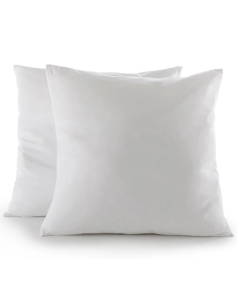 Cheer Collection 2-Pack Pillows, European