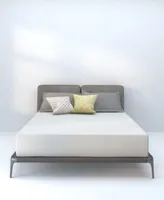 Dusk Dawn 11 Medium Mattress In A Box Collection