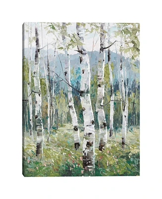 Spring Greens Light by Dean Bradshaw Canvas Art Print