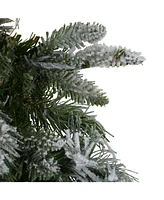 Northlight Unlit Flocked Mixed Colorado Pine Artificial Christmas Wreath